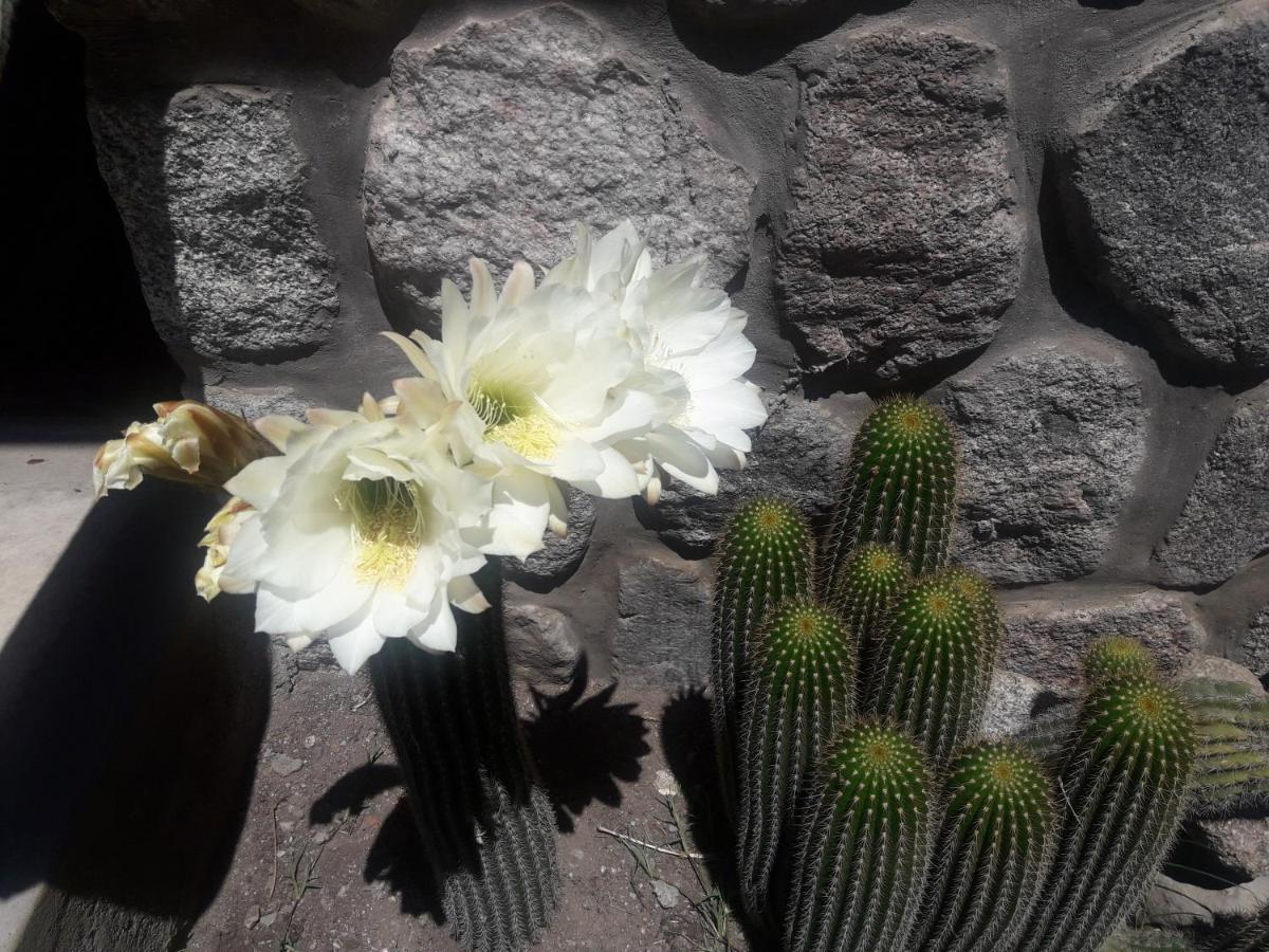 Posada La Sonada ตาฟิเดลบาเญ ภายนอก รูปภาพ