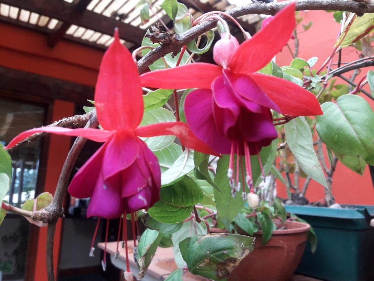 Posada La Sonada ตาฟิเดลบาเญ ภายนอก รูปภาพ